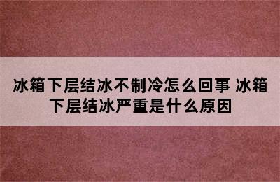 冰箱下层结冰不制冷怎么回事 冰箱下层结冰严重是什么原因